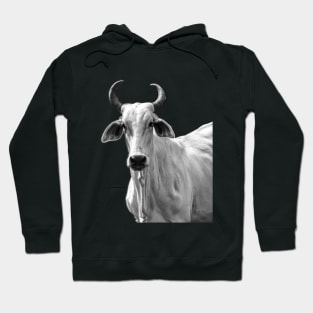 white cow Hoodie